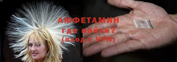 хмурый Пересвет