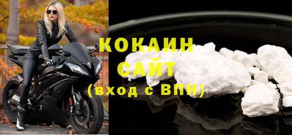 крисы Абаза
